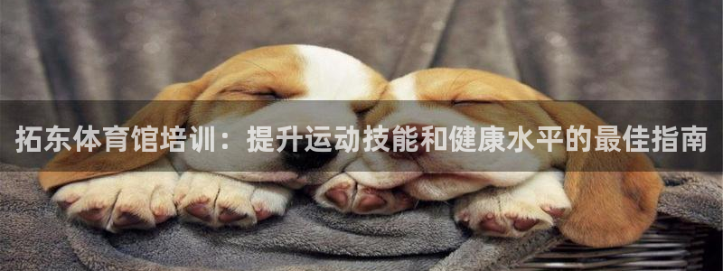 耀世娱乐怎么样：拓东体育馆培训：提升运动技能和健康水
