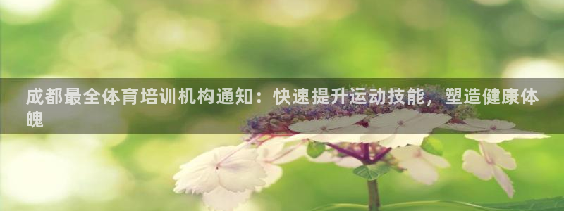 耀世燃气灶是哪个牌子：成都最全体育培训机构通知：快速