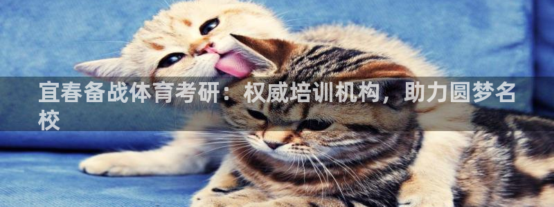 耀世娱乐下载最新版本安装教程：宜春备战体育考研：权威