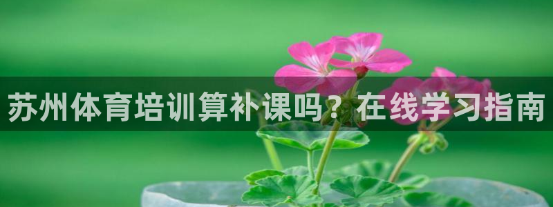 耀世平台app下载安装官网：苏州体育培训算补课吗？在