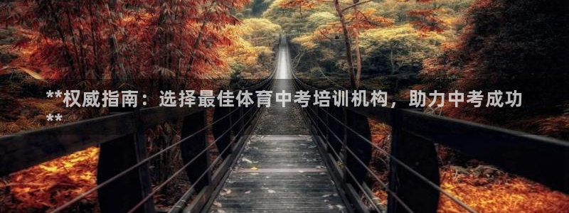 耀世平台注册网址是什么：**权威指南：选择最佳体育中