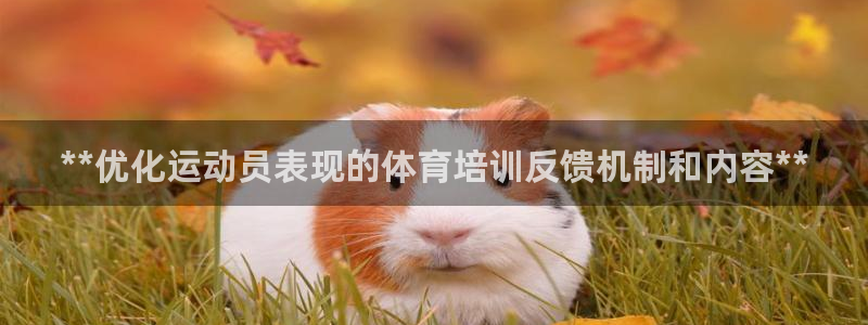 耀世和耀至的区别：**优化运动员表现的体育培训反馈机
