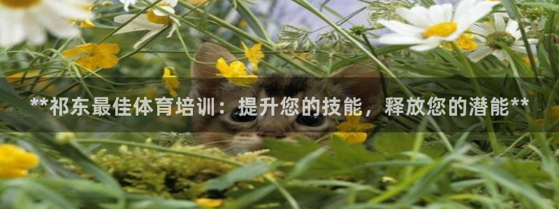 耀世集团是干嘛的企业：**祁东最佳体育培训：提升您的