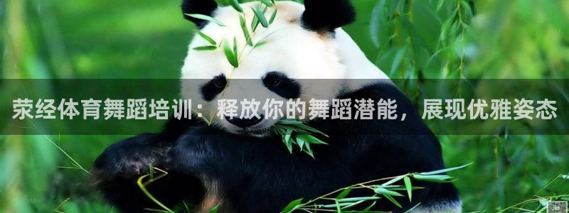 耀世影视：荥经体育舞蹈培训：释放你的舞蹈潜能，展现优