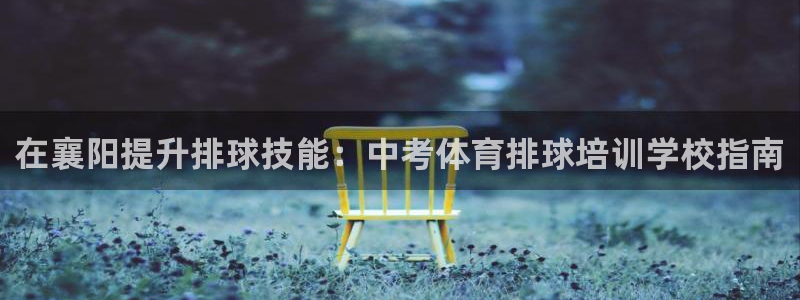 耀世天下的图片唯美：在襄阳提升排球技能：中考体育排球