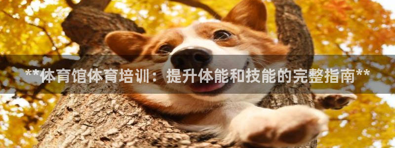 耀世娱乐优 411o31 耀世：**体育馆体育培训：