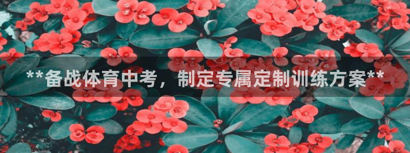 耀世娱乐赢咖APP：**备战体育中考，制定专属定制训