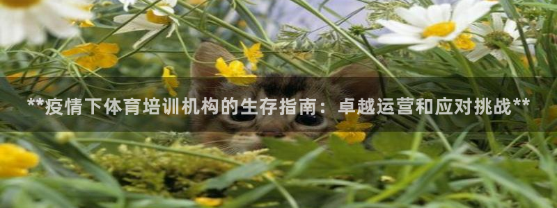 耀世平台云 411o31 耀世：**疫情下体育培训机