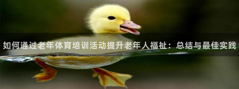 耀世是什么意思：如何通过老年体育培训活动提升老年人福