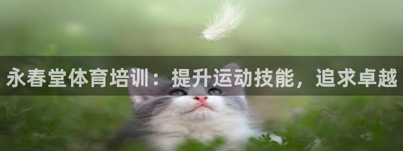 耀世平台主管代理：永春堂体育培训：提升运动技能，追求
