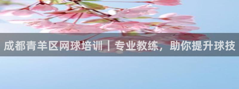 耀世娱乐登录注册流程：成都青羊区网球培训｜专业教练，