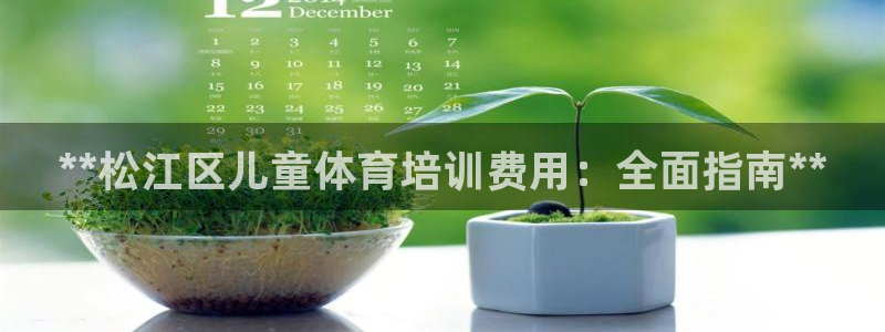 耀世集团商业联盟：**松江区儿童体育培训费用：全面指