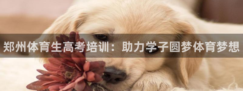 耀世娱乐黑钱吗是真的吗：郑州体育生高考培训：助力学子