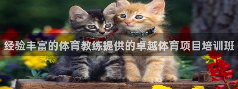 耀世楼盘：经验丰富的体育教练提供的卓越体育项目培训班
