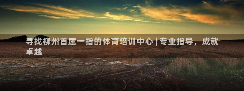 耀世娱乐百科：寻找柳州首屈一指的体育培训中心 | 专