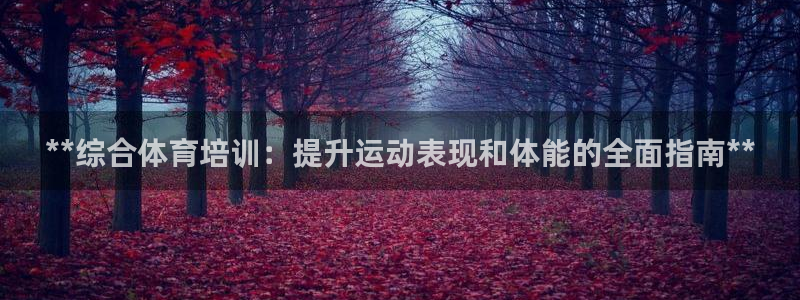 耀世璀璨：**综合体育培训：提升运动表现和体能的全面