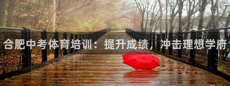耀世盛典官网下载：合肥中考体育培训：提升成绩，冲击理