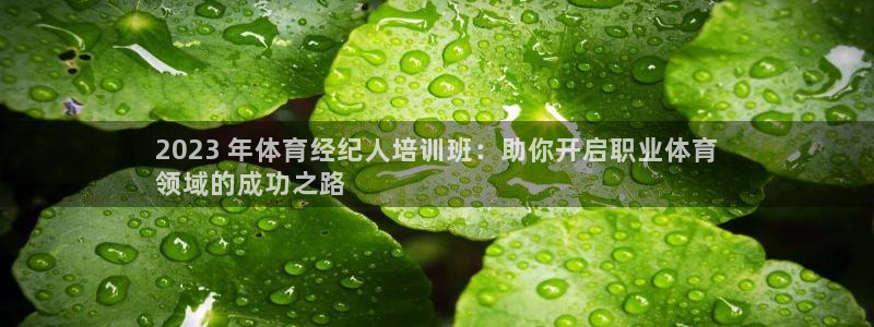 耀世集团王大聪：2023 年体育经纪人培训班：助你开