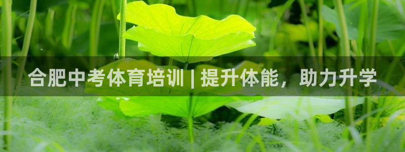 耀世平台注册登录不上怎么办：合肥中考体育培训 | 提