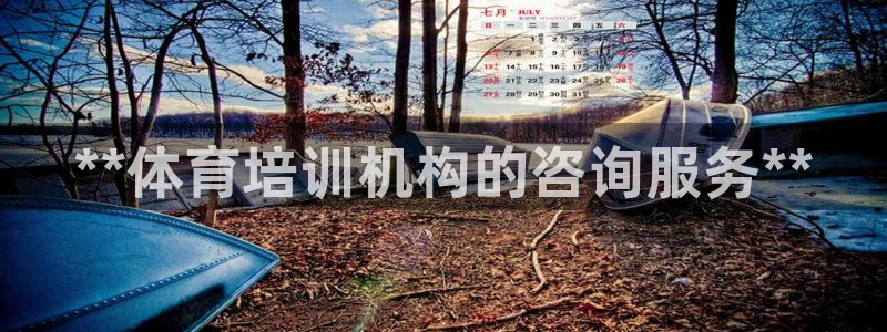 耀世平台app下载官网：**体育培训机构的咨询服务*