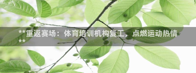 耀世开业：**重返赛场：体育培训机构复工，点燃运动热