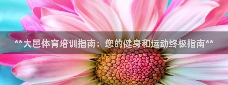 耀世国际集团董事长：**大邑体育培训指南：您的健身和