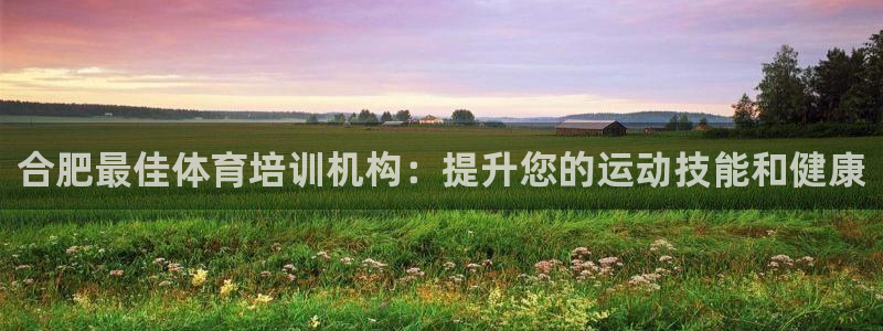 耀世娱乐app下载官网：合肥最佳体育培训机构：提升您