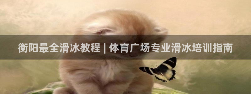 耀世集团商业联盟官网：衡阳最全滑冰教程 | 体育广场