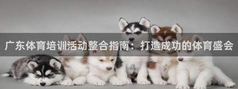 耀世平台将7O777：广东体育培训活动整合指南：打造