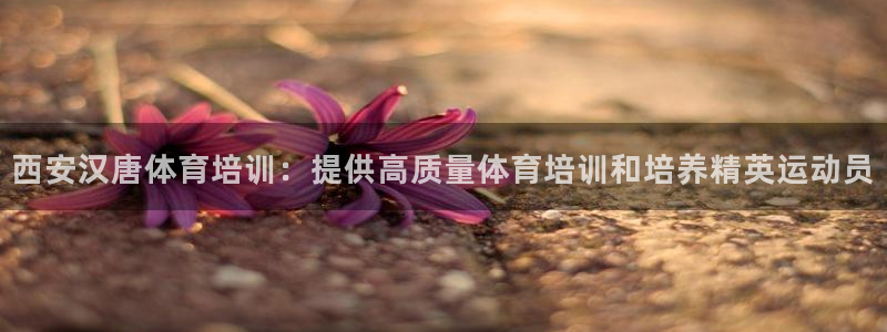 耀世平台注册开户：西安汉唐体育培训：提供高质量体育培