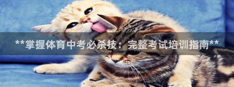 耀世平台登录地址是什么：**掌握体育中考必杀技：完整