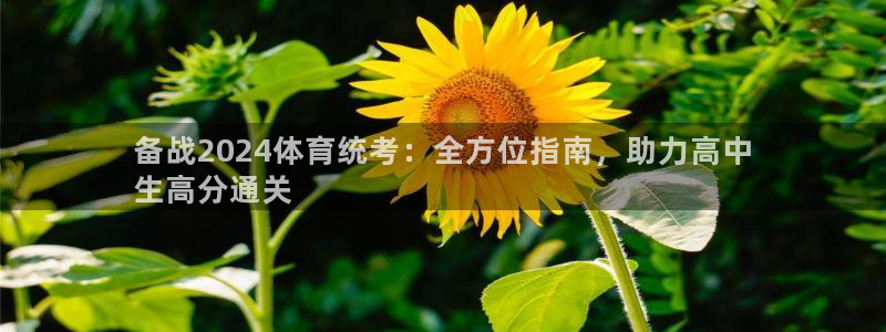 耀世集团七天三彩：备战2024体育统考：全方位指南，