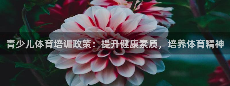 耀世平台网站：青少儿体育培训政策：提升健康素质，培养