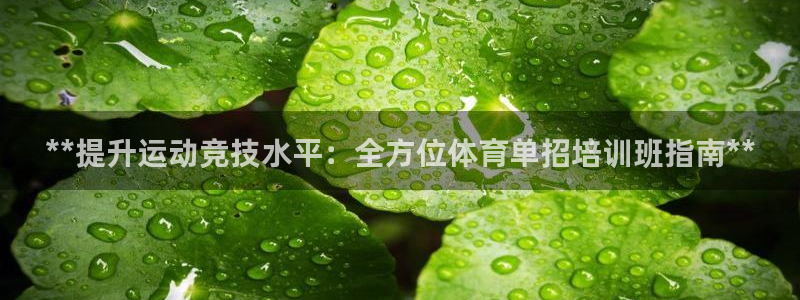 耀世集团王大聪简介：**提升运动竞技水平：全方位体育
