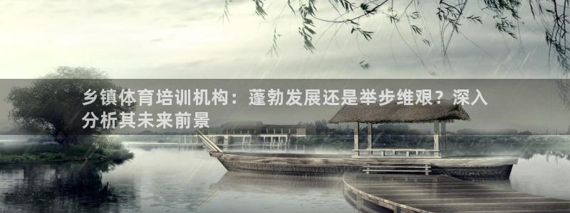 耀世娱乐登陆官网：乡镇体育培训机构：蓬勃发展还是举步