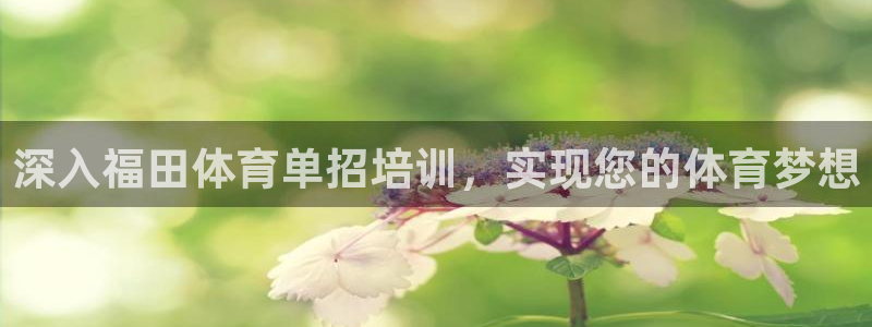 耀世国际集团是国企吗：深入福田体育单招培训，实现您的