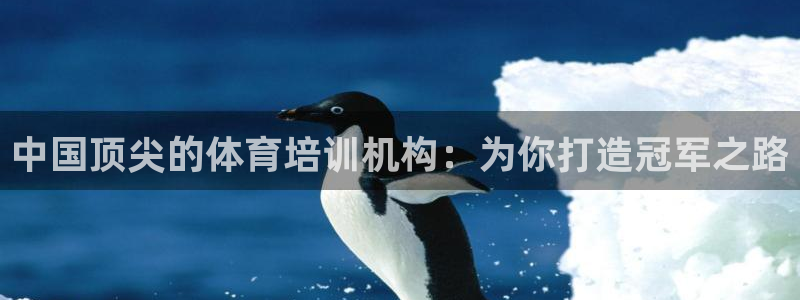耀世娱乐下载最新版本安装包：中国顶尖的体育培训机构：