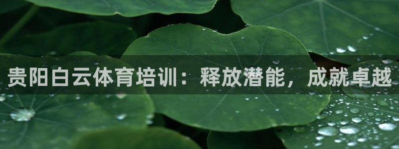 耀世雷霆下载：贵阳白云体育培训：释放潜能，成就卓越