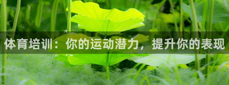 耀世国际平台正规吗可信吗知乎：体育培训：你的运动潜力