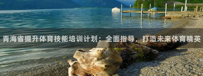 耀世而生：青海省提升体育技能培训计划：全面指导，打造未来体育
