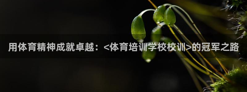 耀世娱乐安全吗可信吗：用体育精神成就卓越：<体育培训