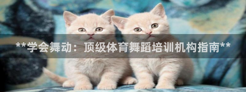 耀世娱乐挂机赚钱吗：**学会舞动：顶级体育舞蹈培训机
