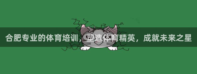 耀世而来：合肥专业的体育培训，塑造体育精英，成就未来