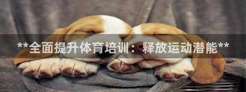 耀世集团是干嘛的企业：**全面提升体育培训：释放运动
