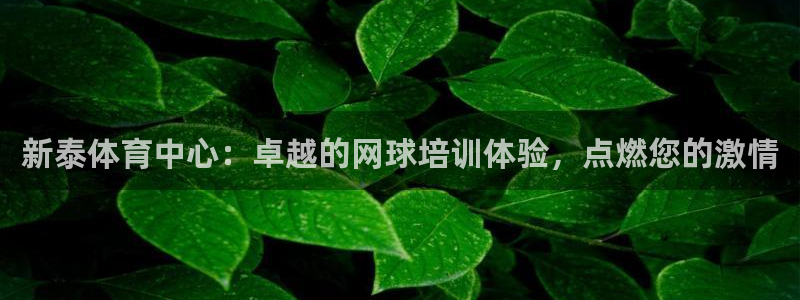 耀世娱乐是不是很黑暗：新泰体育中心：卓越的网球培训体
