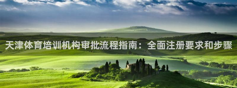 耀世娱乐好不好：天津体育培训机构审批流程指南：全面注