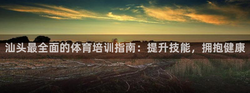 耀世平台式7O777：汕头最全面的体育培训指南：提升