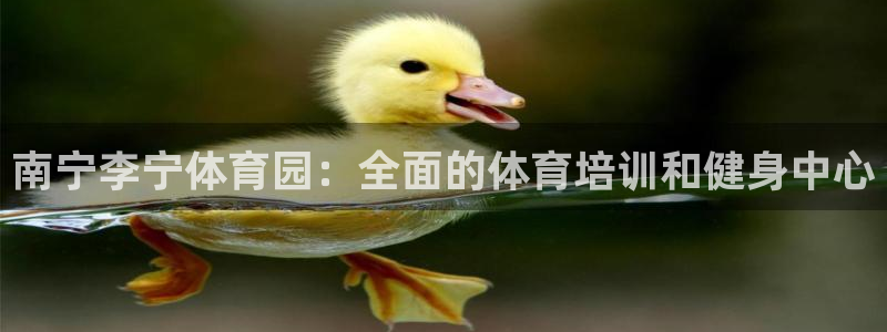 耀世平台关7O777：南宁李宁体育园：全面的体育培训