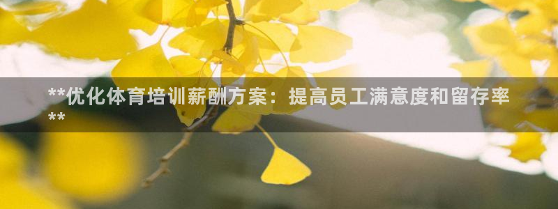 耀世国际平台正规吗：**优化体育培训薪酬方案：提高员