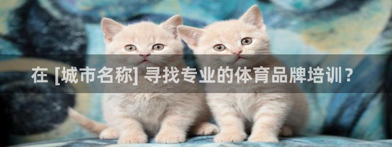 耀世国际平台正规吗可靠吗：在 [城市名称] 寻找专业